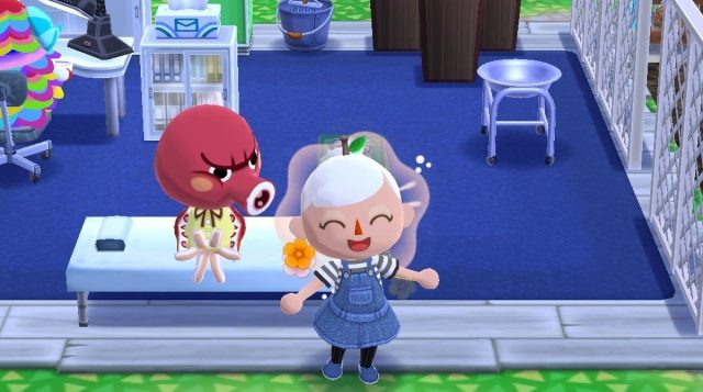 Pocket Camp and the feud that keeps on running • Eurogamer.net