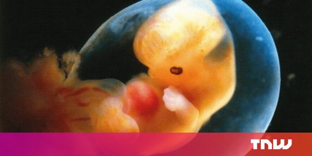 China's failed 'baby gene' experiment proves we're not ready to edit human embryos