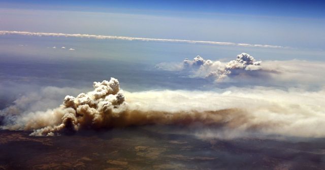 What you need to know about the Australia bushfires